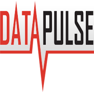 DataPulse Logo