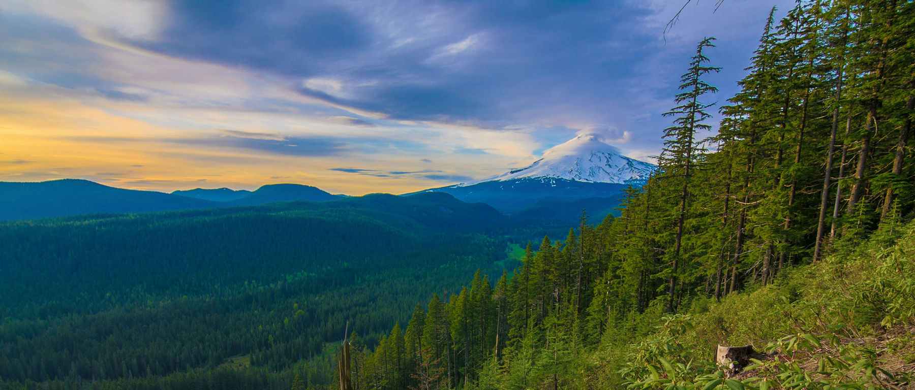 mount hood in oregon